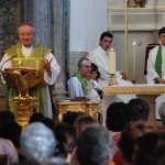 Ultreia_diocesana_mcc_2015 (6)