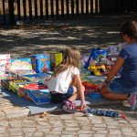 Feira_solidaria_patacao (5)