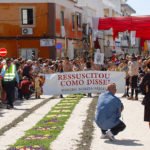 Festa_tochas_floridas_2017 (3)