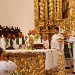 Bodas_diamante_monsenhor_cupertino (5)