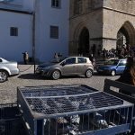 Dia_internacional_pessoa_deficiencia_2017 (4)