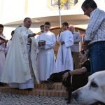 Bencao_animais_estimacao_paroquia_ferreiras (2)