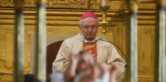 Mensagem do bispo do Algarve convida a imitar neste Natal o “caminho espiritual” percorrido pelos pastores