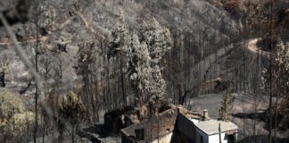 Bispo do Algarve lamenta demora na aplicação dos donativos às vítimas do fogo de Monchique