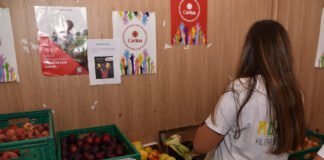Covid-19: Aumento de 63% de pedidos de ajuda leva Cáritas algarvia a realizar recolha de alimentos
