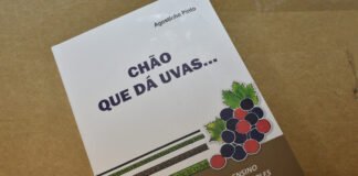Novo livro do padre Agostinho Pinto reúne meditações sobre as parábolas evangélicas