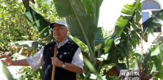 Especial: Um bispo, uma enxada e uma encíclica fizeram nascer a horta «Laudato Si»