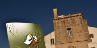Diocese do Algarve apresenta Triénio Pastoral 2021/2024