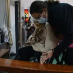 Visita_simbolos_jmj_misericordia_silves (19)