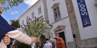Domingo de Ramos: Bispo do Algarve apelou à humildade e à construção da paz (c/fotogaleria)