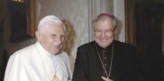 Bispo do Algarve destaca que “o amor de Bento XVI pela Igreja” foi “total e incondicional”