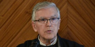 Padre Vicente Hernandez sugeriu que as dioceses do sul dediquem uma década a uma pastoral intensiva vocacional