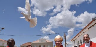 Bispo do Algarve apelou à participação na jornada de oração pela paz mundial convocada pelo Papa