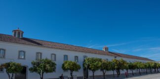 Seminário da Diocese do Algarve promove Dia Aberto à visita à instituição