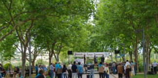 Diocese do Algarve volta a celebrar Dia da Igreja Diocesana com jornada para encerrar Programa Pastoral