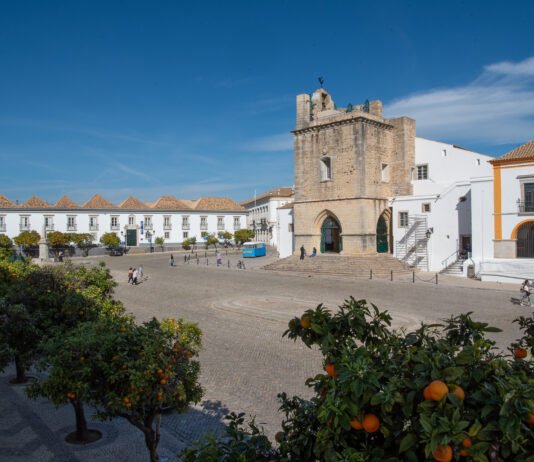 Formação e peregrinação são as grandes propostas do Conselho Pastoral da Diocese do Algarve para o próximo ano