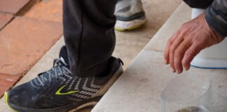 Diocese do Algarve promove Jubileu da Caridade e dos Pobres