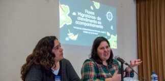 Jornadas de Ação Sociocaritativa da Diocese do Algarve contaram com testemunho de trabalho com migrantes na Diocese de Beja
