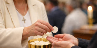 Diocese do Algarve promove formação para ministros extraordinários da comunhão